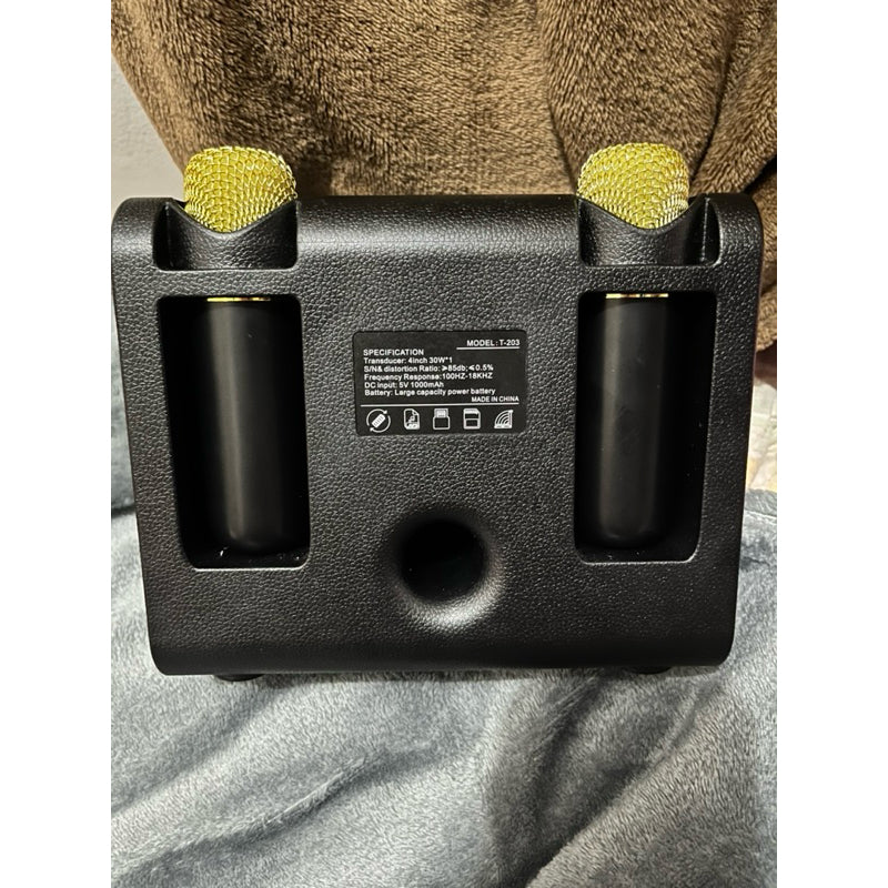 Portable Karaoke  Speaker